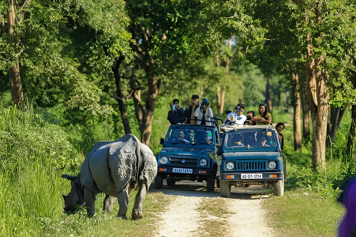 Kaziranga National Park