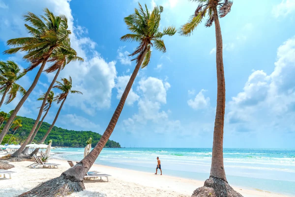 Coastal tropical beach of Phu Quoc Island