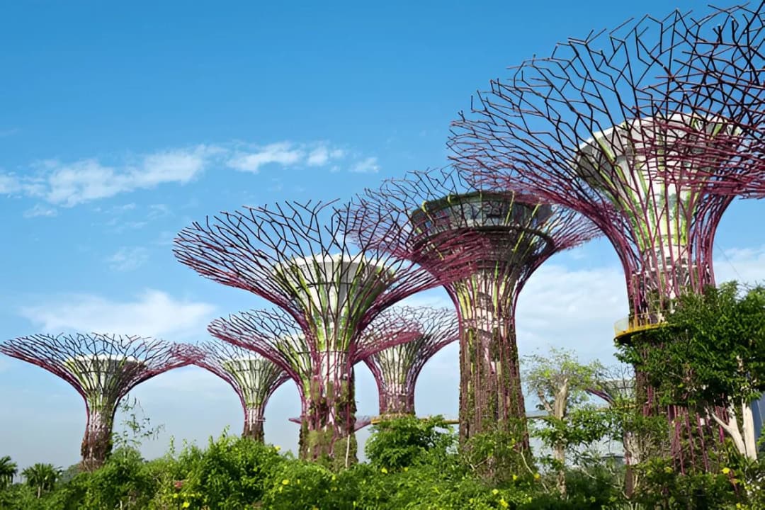 Gardens by the Bay