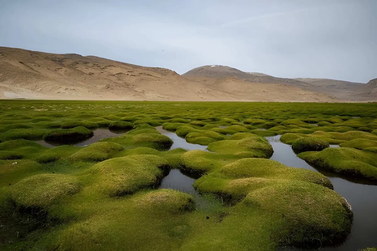 Puga Valley