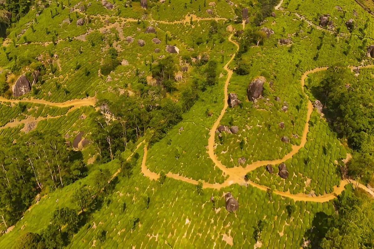 Munnar Hill Station
