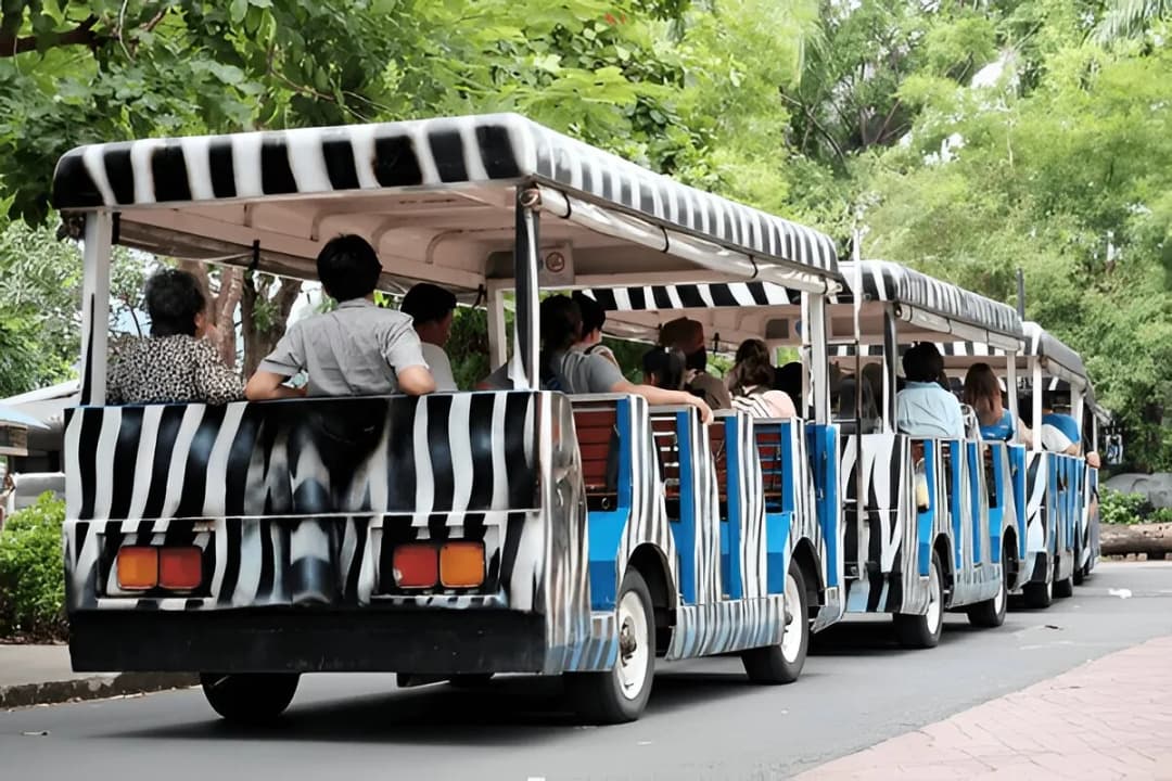 Tram Safari Adventure