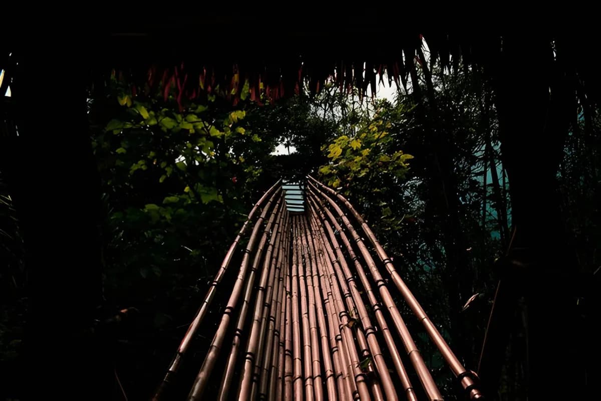 Bamboo Trek of Mawryngkhang Trek inside the forest