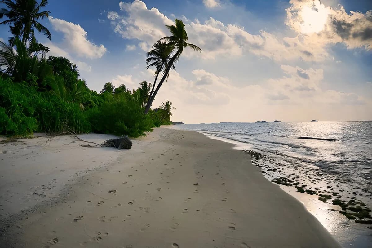 Banana Reef