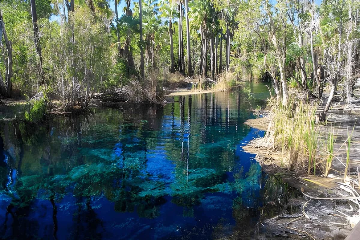 Mataranka Hot Springs