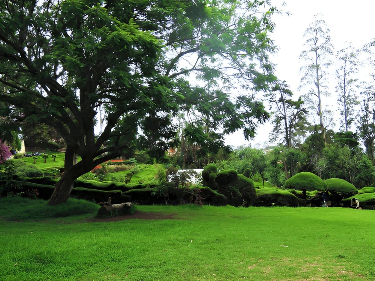 Kodaikanal lake