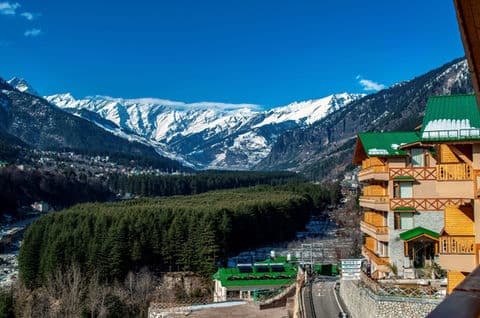 Ashapuri Village Manali