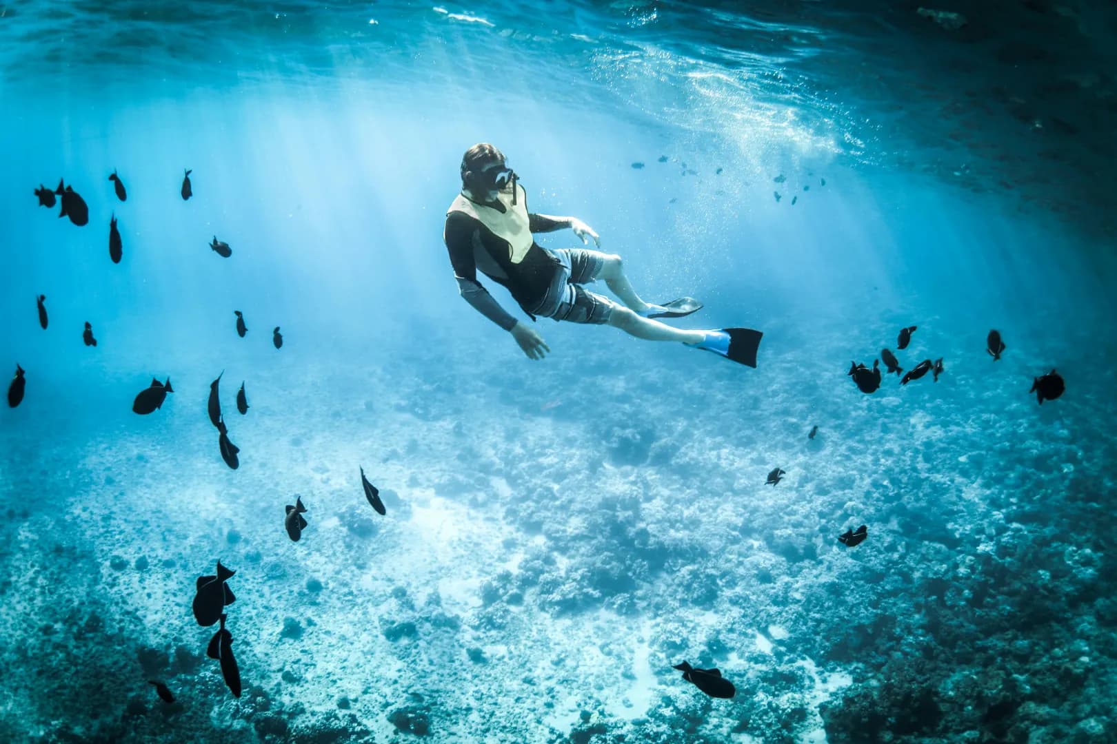 snorkeling at malaysia