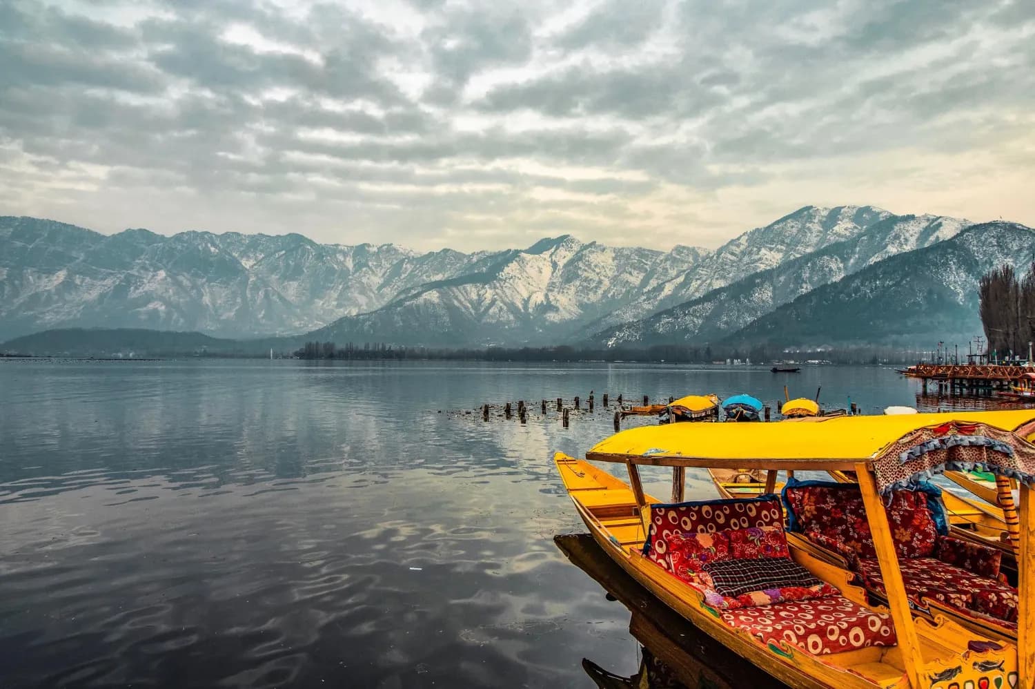 Ultimate Kashmir Voyage