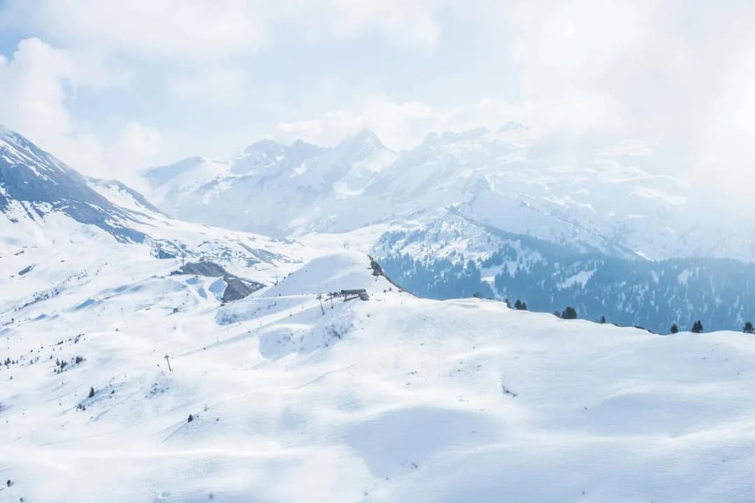Snow Peak Backdrop