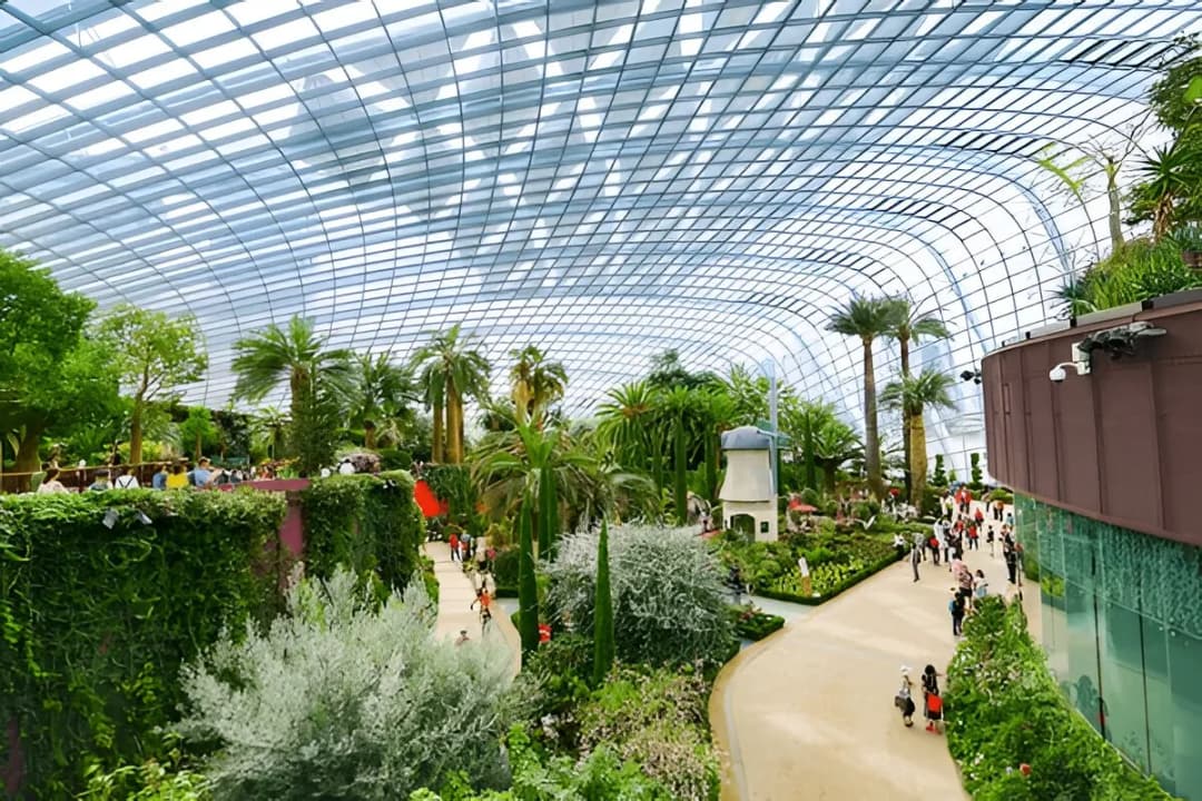 Flower Dome Spectacle