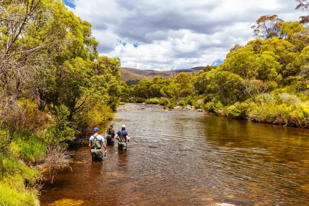 tully river