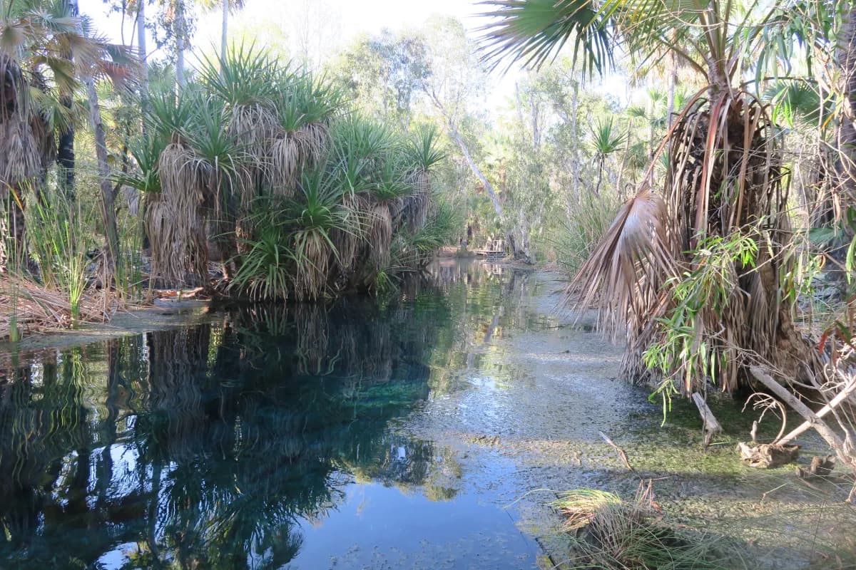 Mataranka Hot Springs