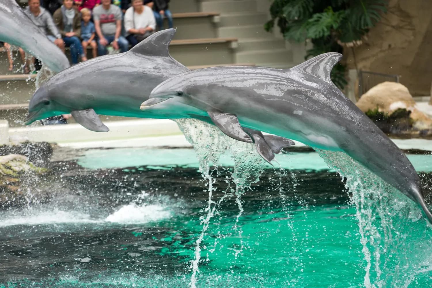 Dubai Dolphinarium