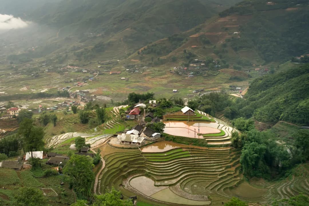 Terraced Rice Fields