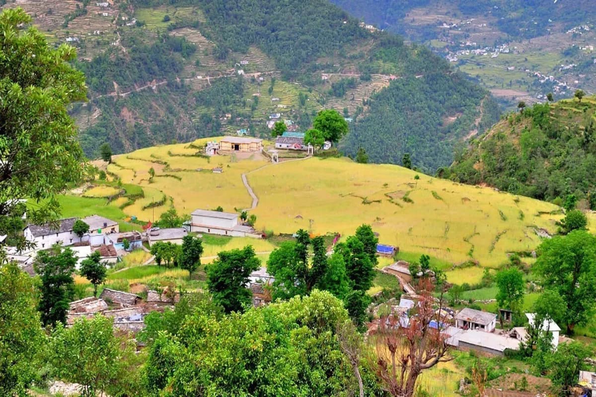 Sari Village