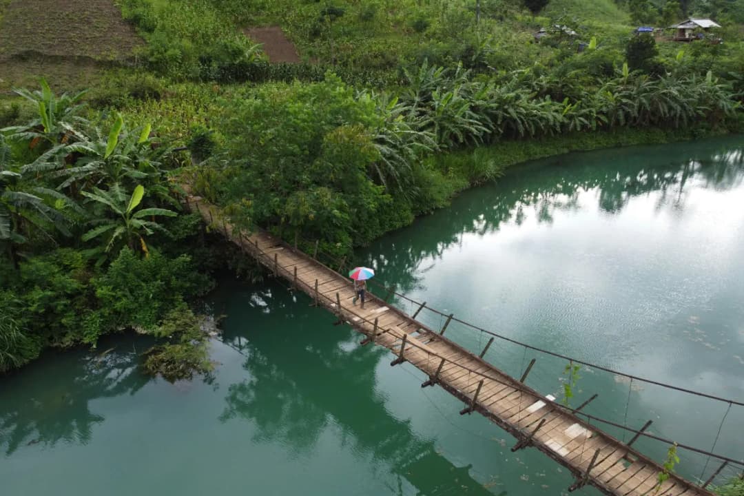 Cliffside Bamboo Bridges
