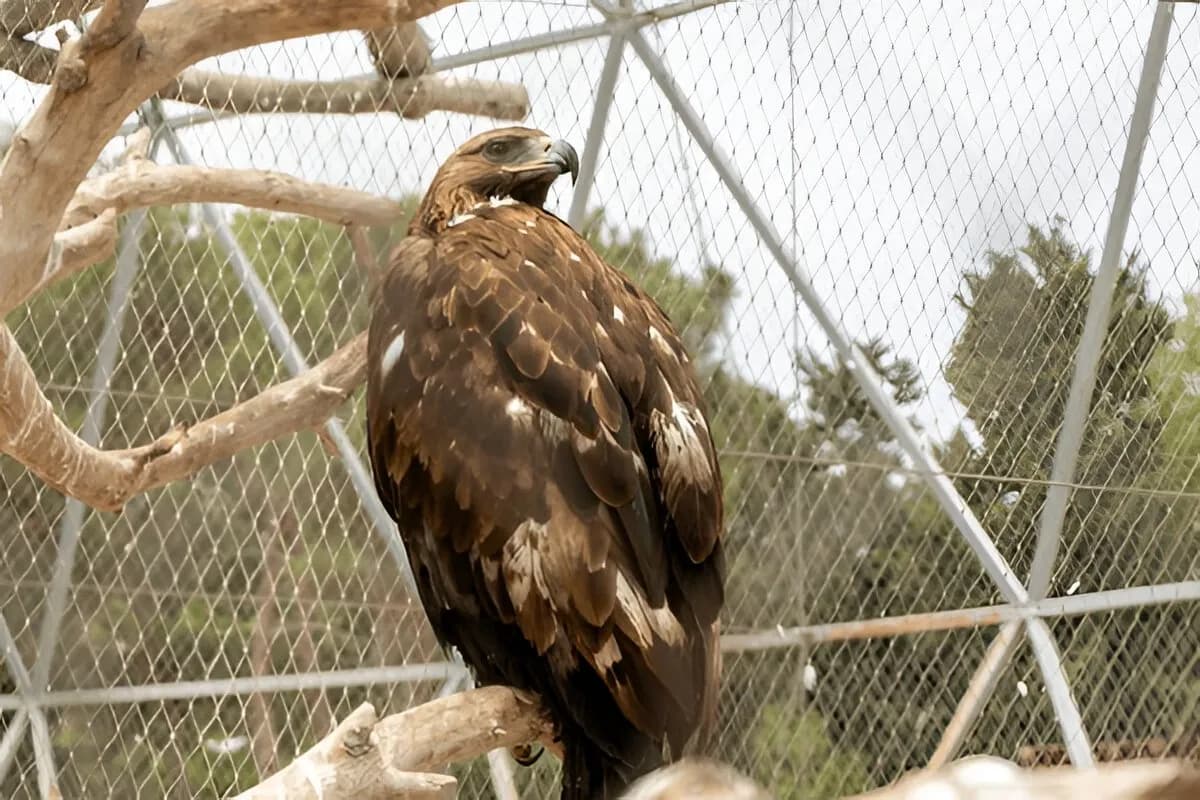 Baku Zoological Park