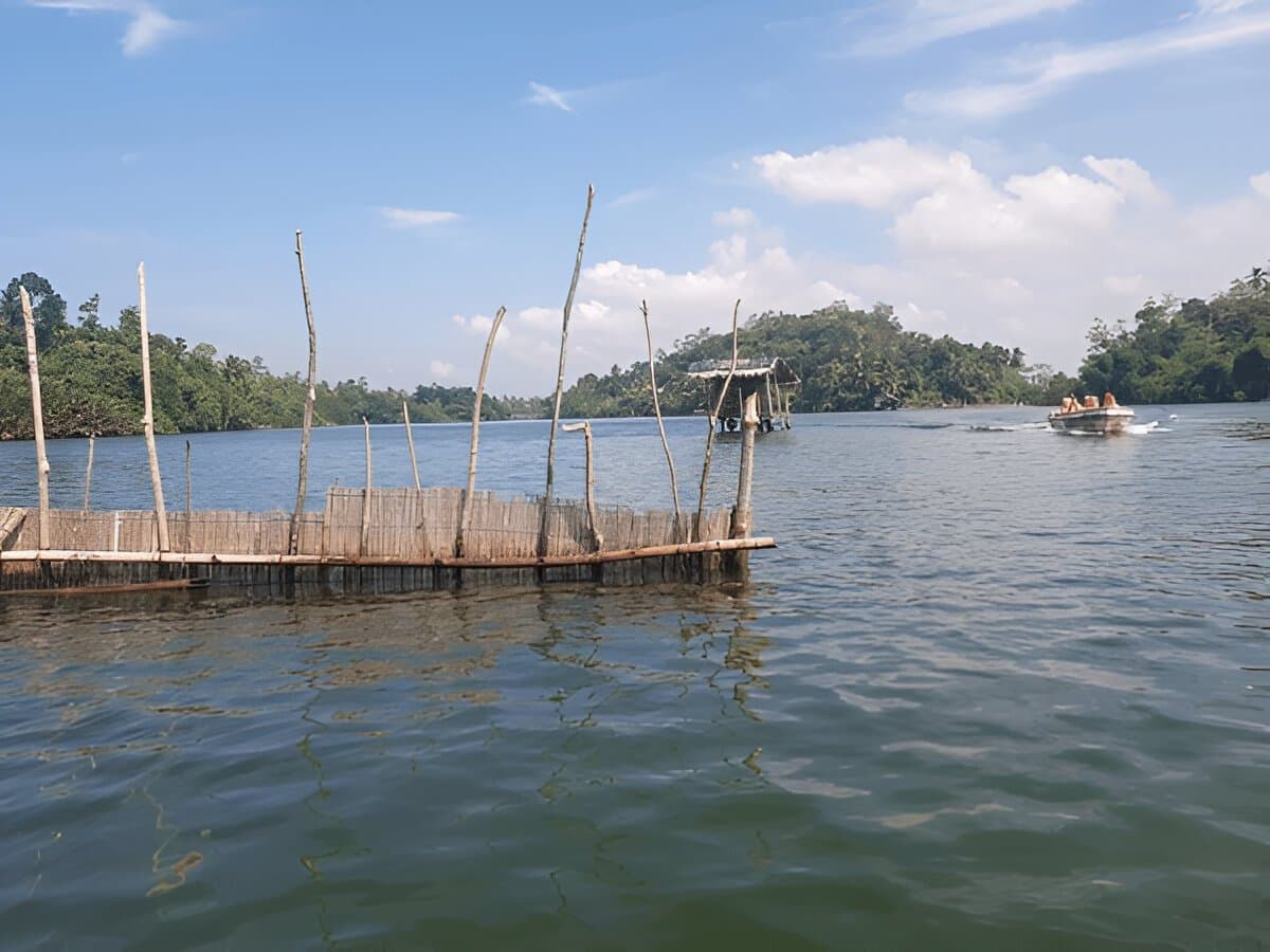 Madu River Boat Safari