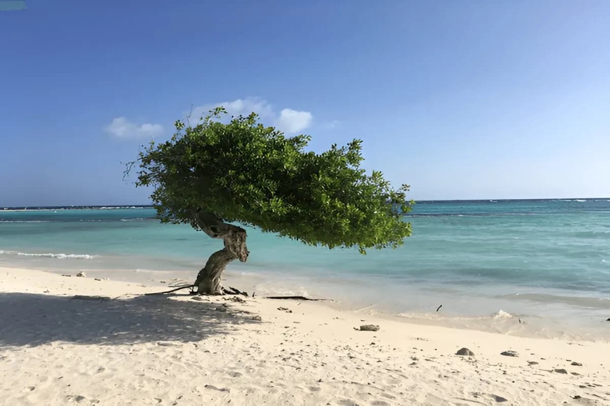 Kadmat Beach