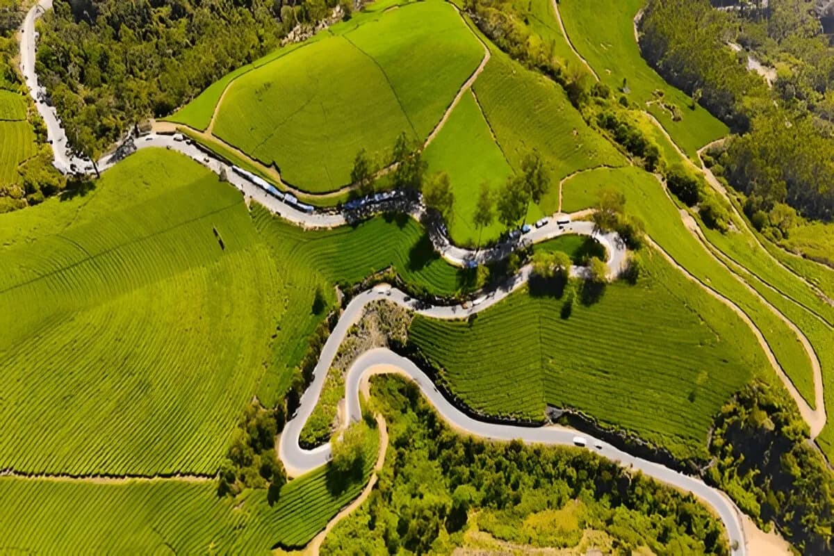 Munnar Hill Station