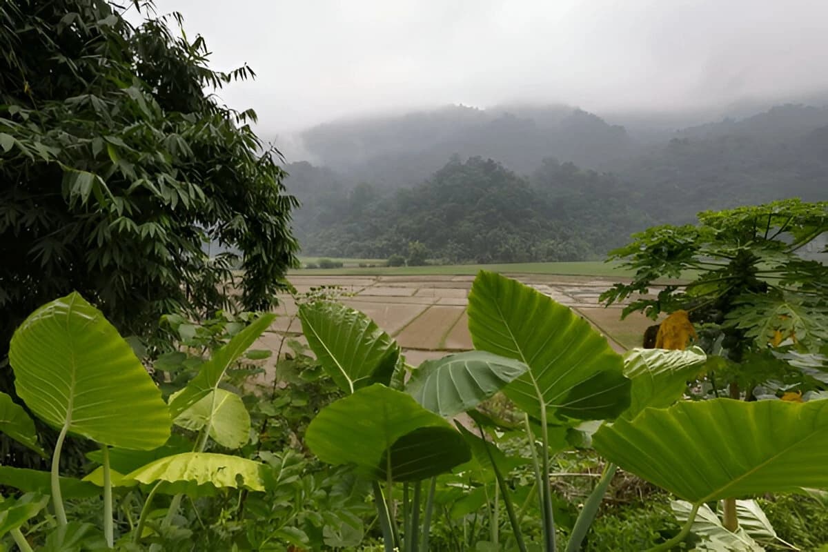 Ba Be National Park