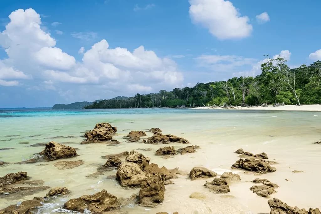 Havelock Island & Elephant Beach