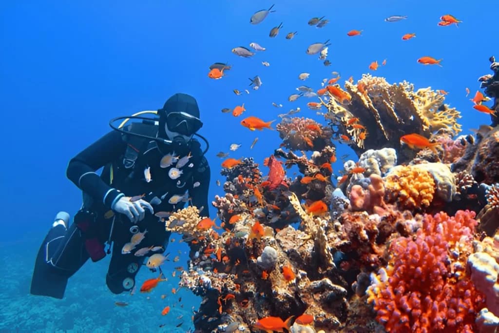 Scuba Diving