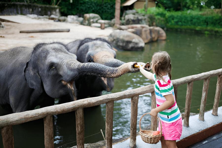 Wildlife at Singapore Zoo