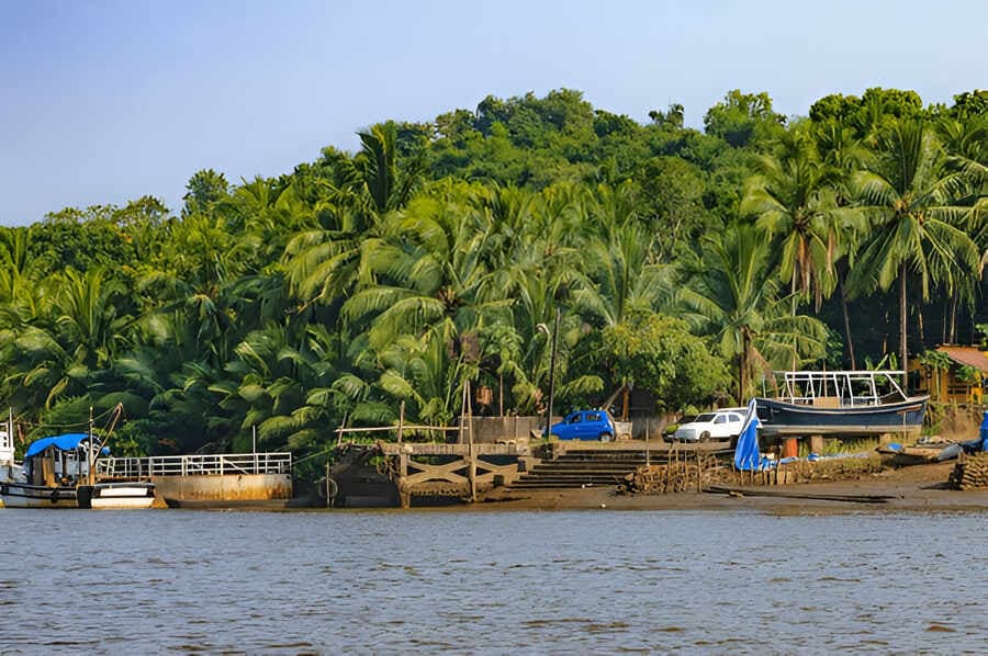 Cycling at Chorao Island