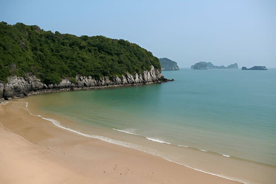 Cat Co Beach