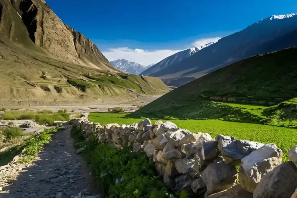 Essential Travel Tips for Spiti Valley in January