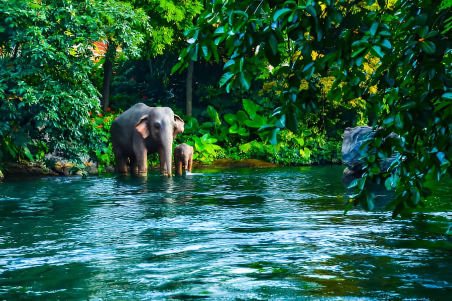 National Park