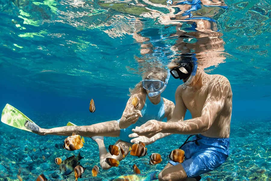 Snorkelling