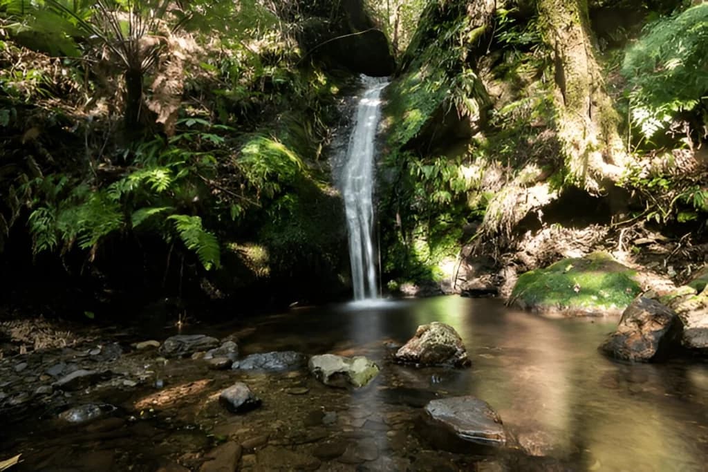 Havelock Island Waterfalls