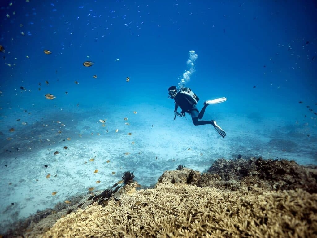 Scuba Diving