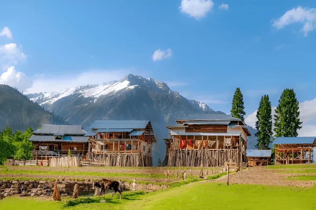 Kashmir in summer