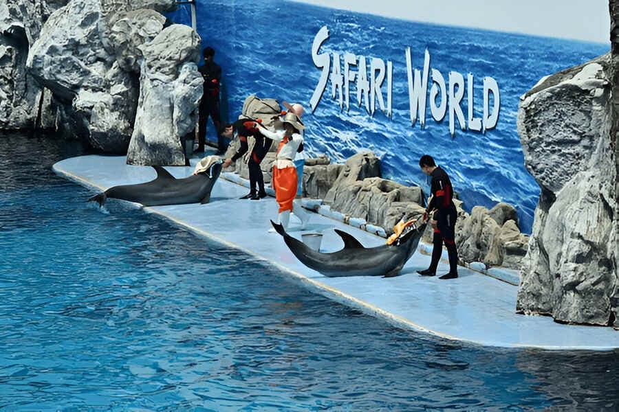 Dolphin World