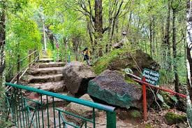 Short Trip to Nainital