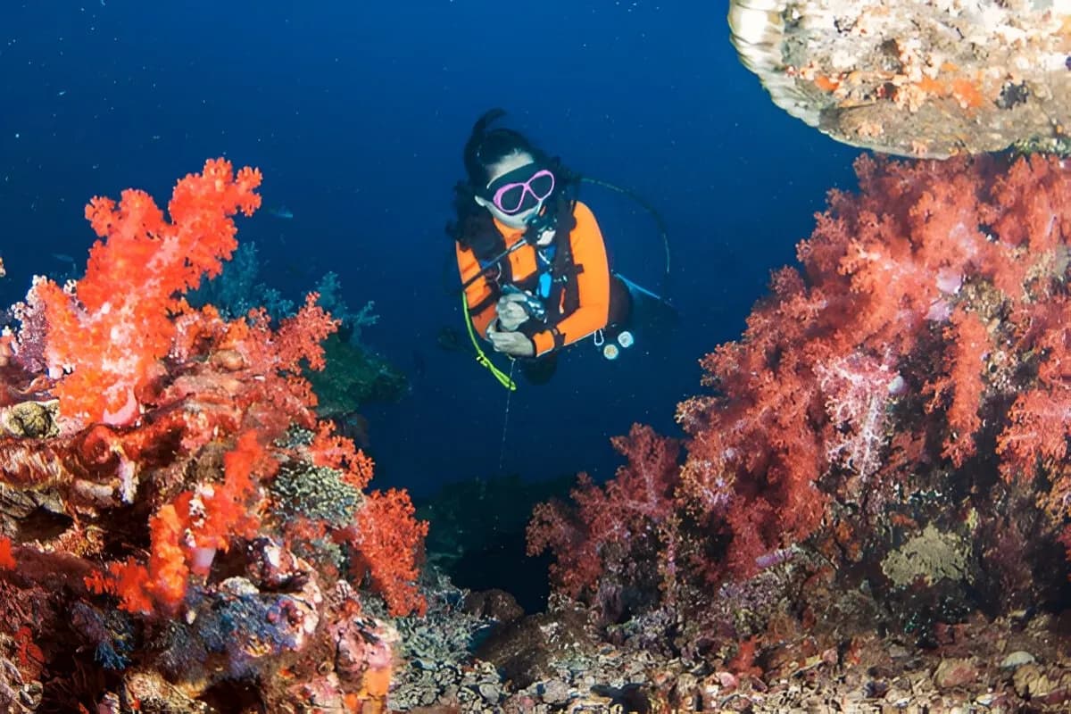 Scuba Diving in the Andaman