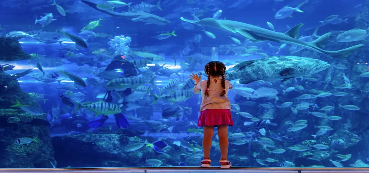 Dubai Aquarium & Underwater Zoo