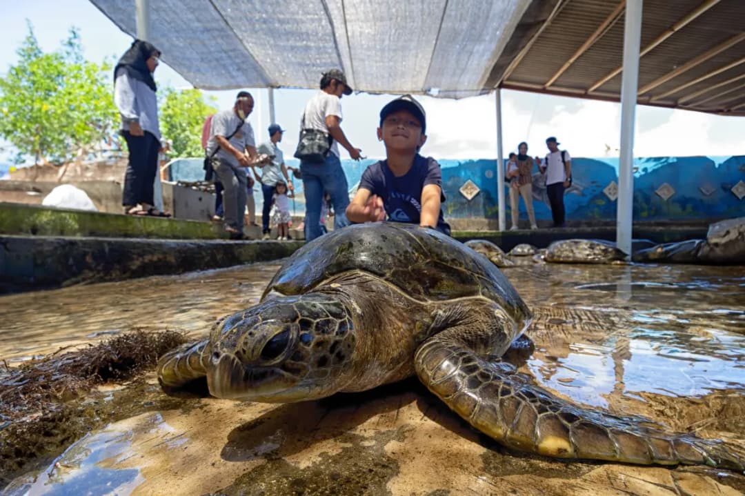 Turtle Island Trips
