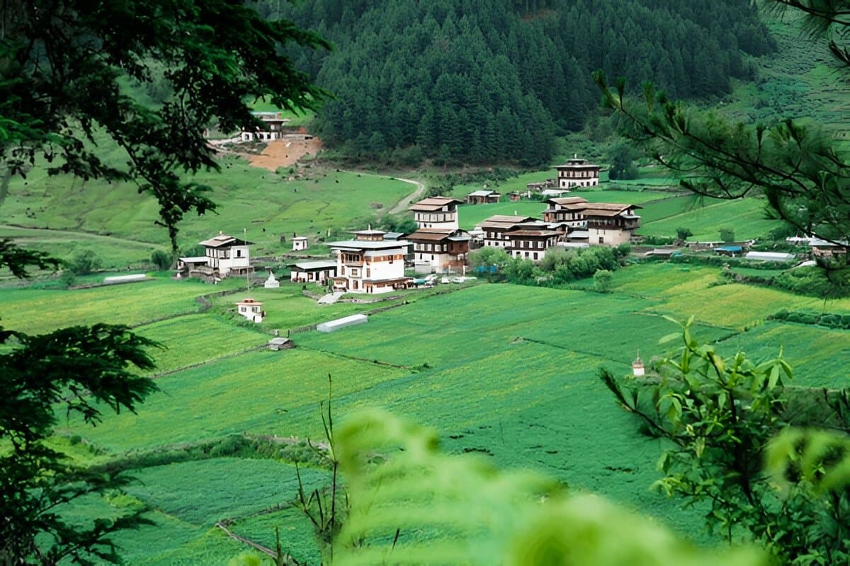 Phobjikha Valley