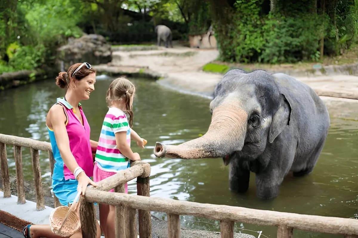 Singapore Zoo