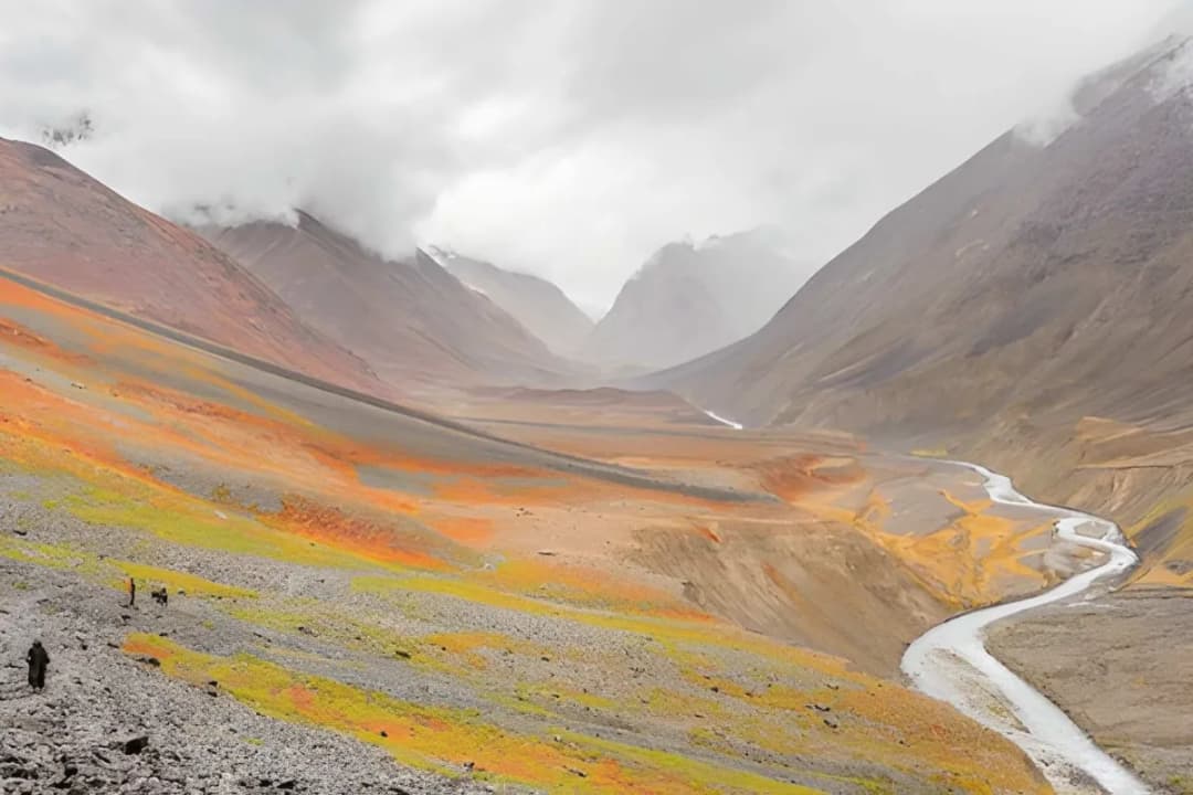Pin Valley Landscapes