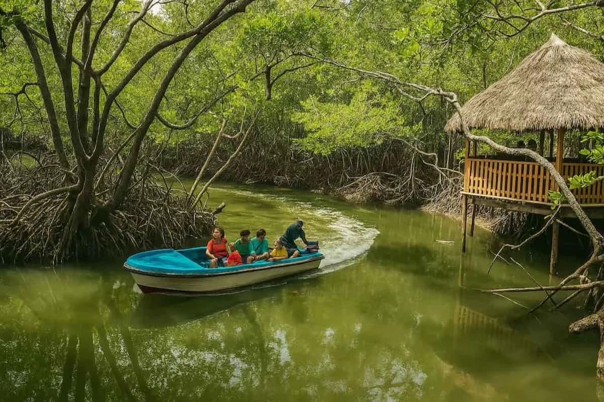 Bartang Island