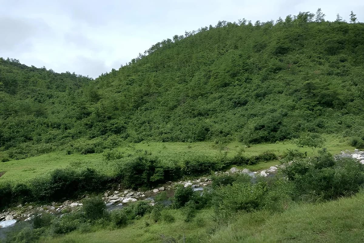 Another Trekking route on David Scott Trail
