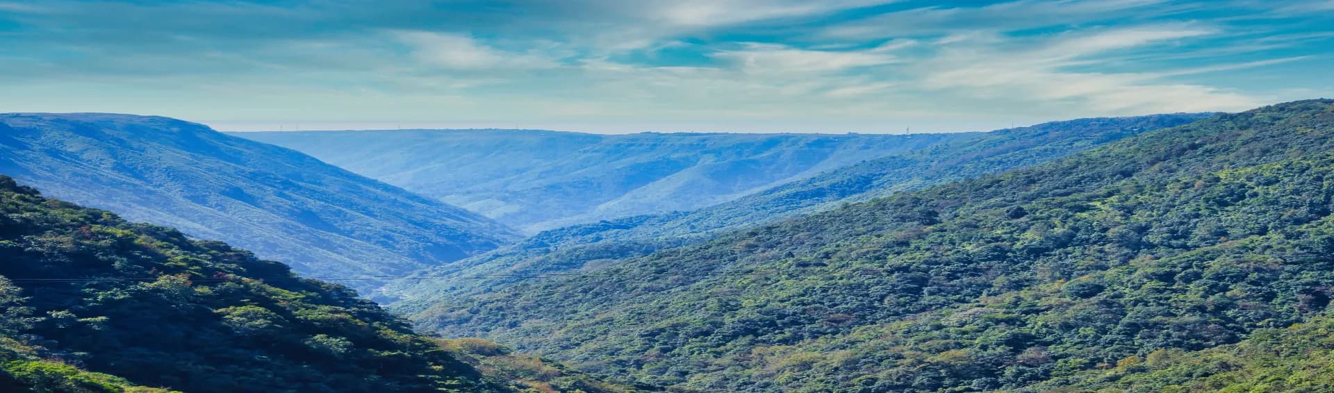 10 Reasons to Visit Meghalaya at Least Once in Your Life