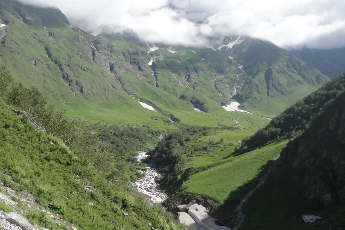 Valley of flowers