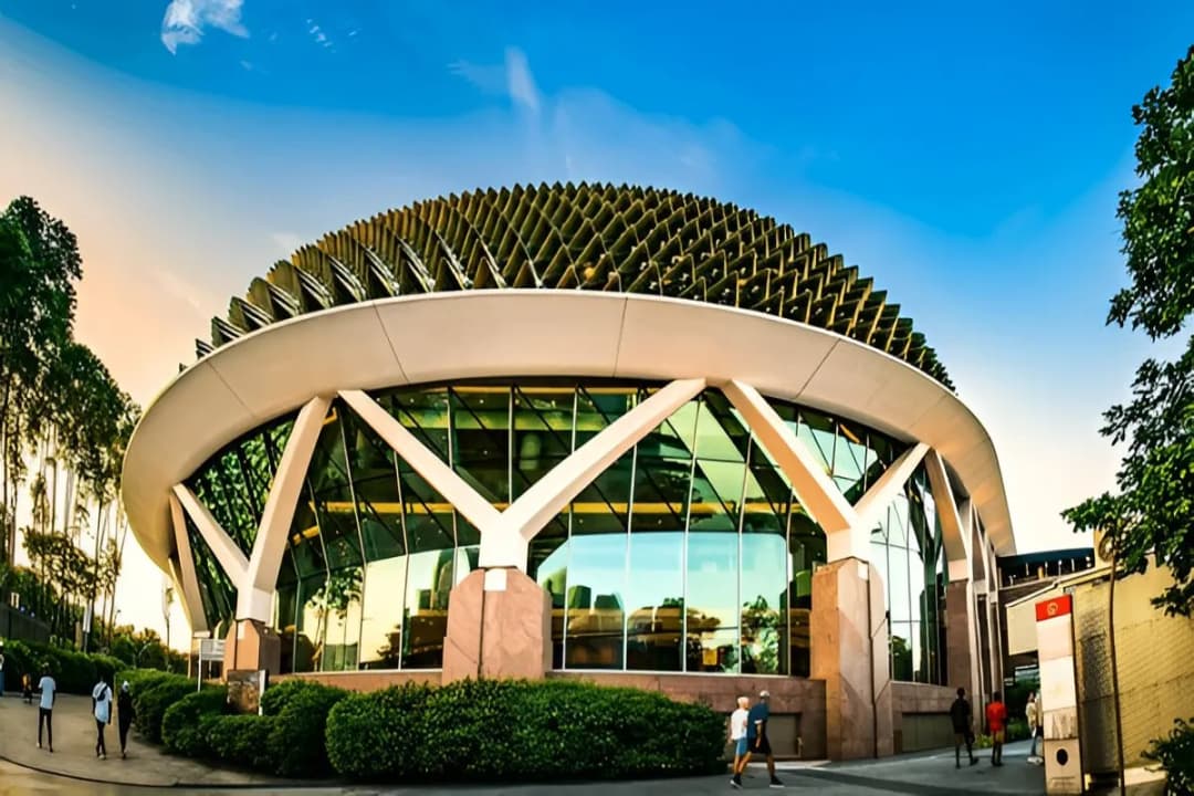 World-Class Performances